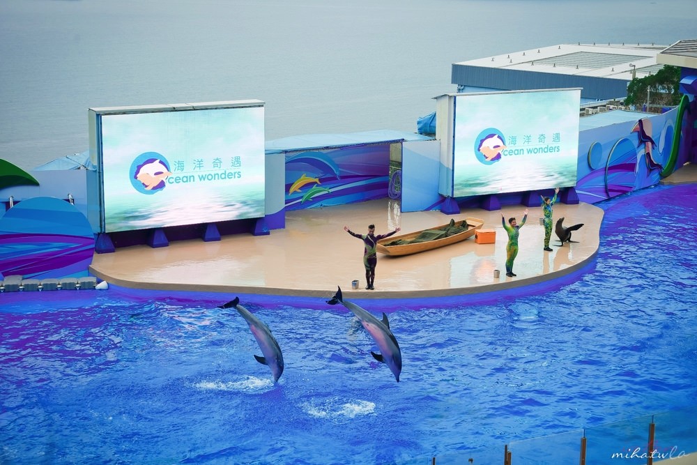 香港自由行,香港海洋公園,香港景點,香港好玩,