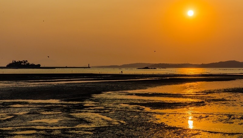 金門花海鹽田夕陽 (46)