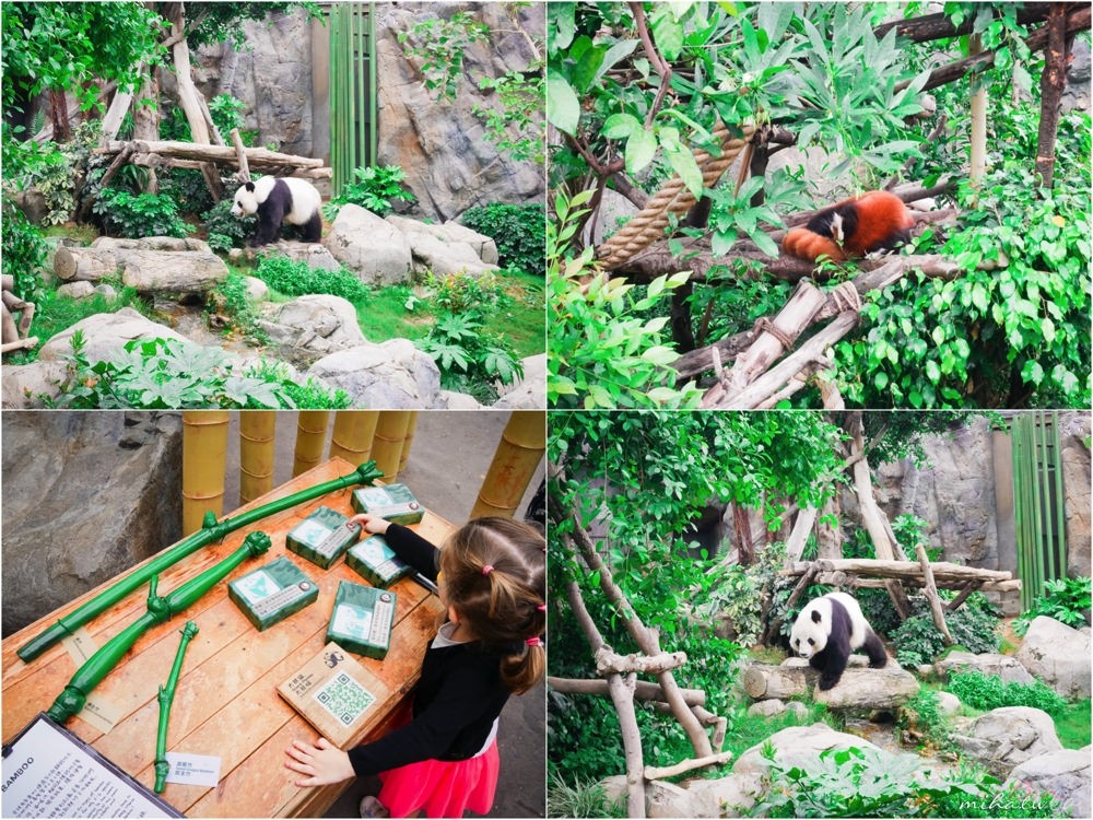 香港自由行,香港海洋公園,香港景點,香港好玩,