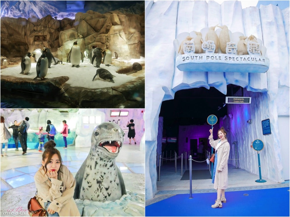 香港自由行,香港海洋公園,香港景點,香港好玩,