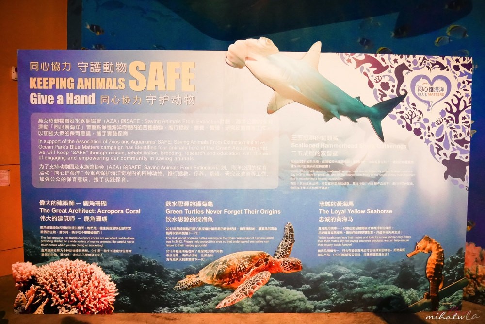 香港自由行,香港海洋公園,香港景點,香港好玩,