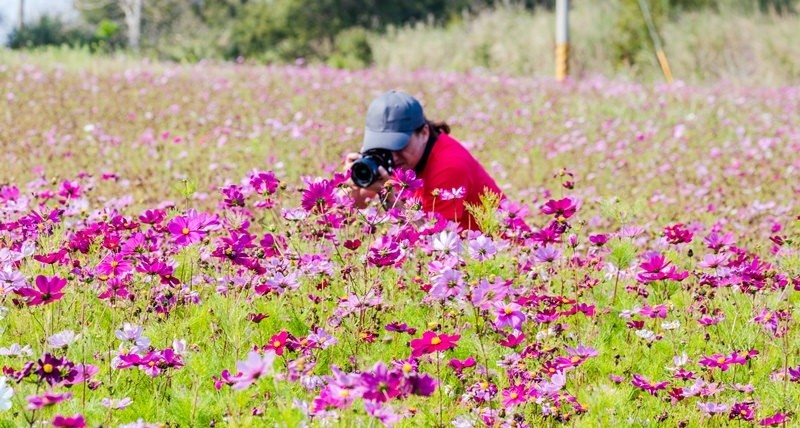 金門花海鹽田夕陽 (37)