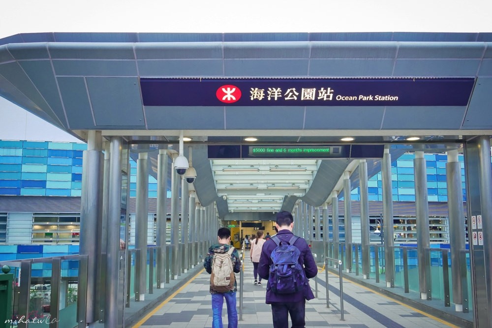 香港自由行,香港海洋公園,香港景點,香港好玩,