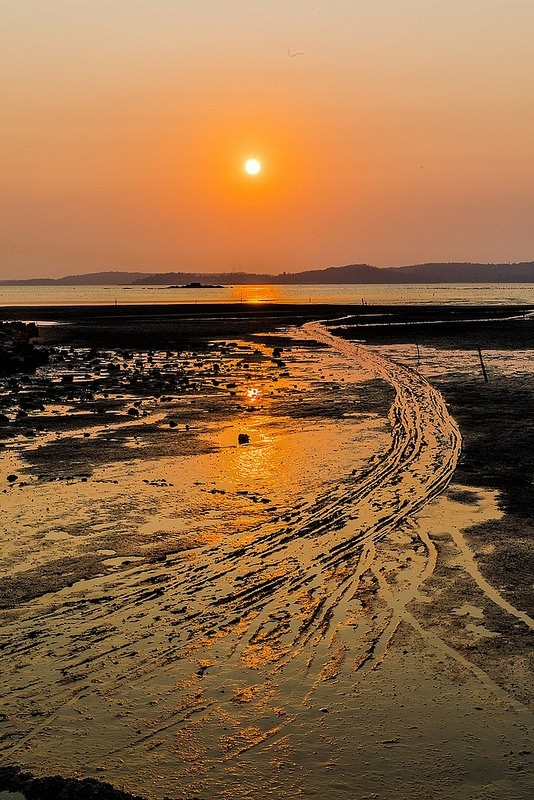 金門花海鹽田夕陽 (49)