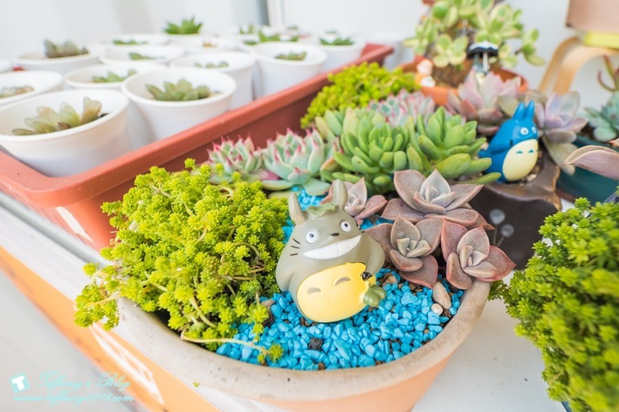 桃園一日遊攻略：2018桃園農業博覽會+大江購物中心/逛完農博直衝大江購物中心吃美食+吹冷氣+免費停車一次滿足