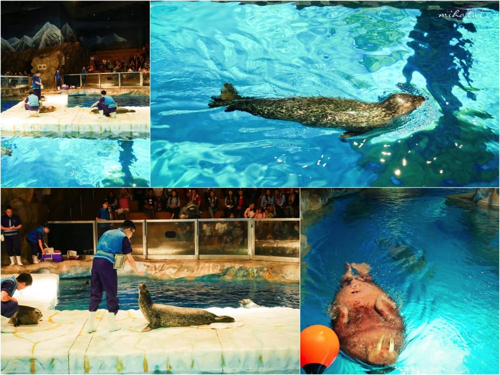 香港自由行,香港海洋公園,香港景點,香港好玩,