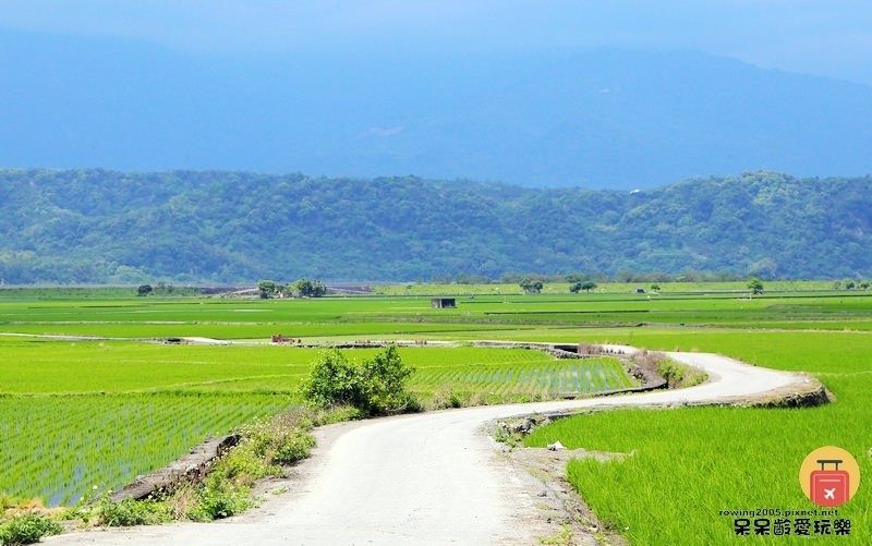 《花蓮。遊》 玉里天堂路 蜿蜒小徑碗如通往天際的神祕通道