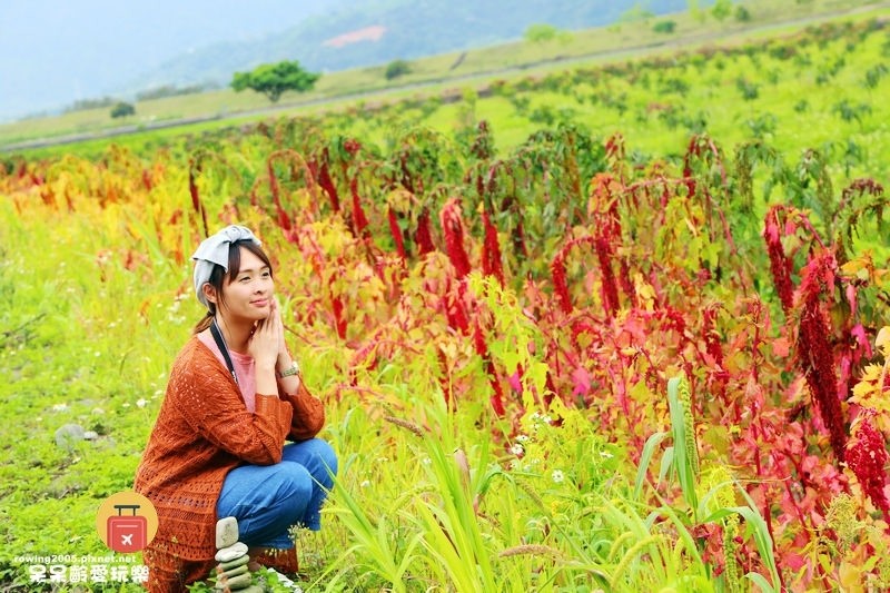 《花蓮。遊》 玉里天堂路 蜿蜒小徑碗如通往天際的神祕通道