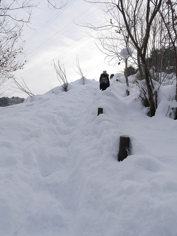 【福島旅遊】只見線第一鐵橋：鐵道冬雪絕景（含交通攻略＋雪地必備好用聖品潤膚霜推薦） @就愛去日本 - 右上的世界食旅