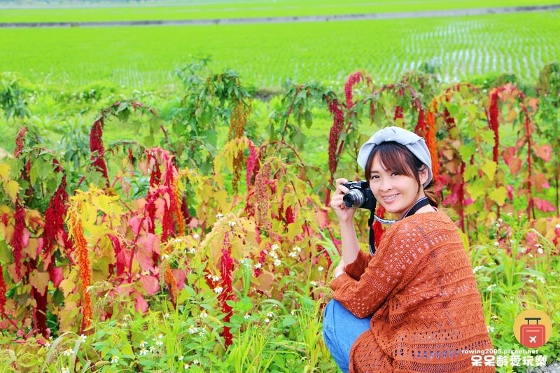 《花蓮。遊》 玉里天堂路 蜿蜒小徑碗如通往天際的神祕通道