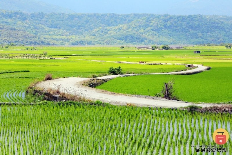 《花蓮。遊》 玉里天堂路 蜿蜒小徑碗如通往天際的神祕通道