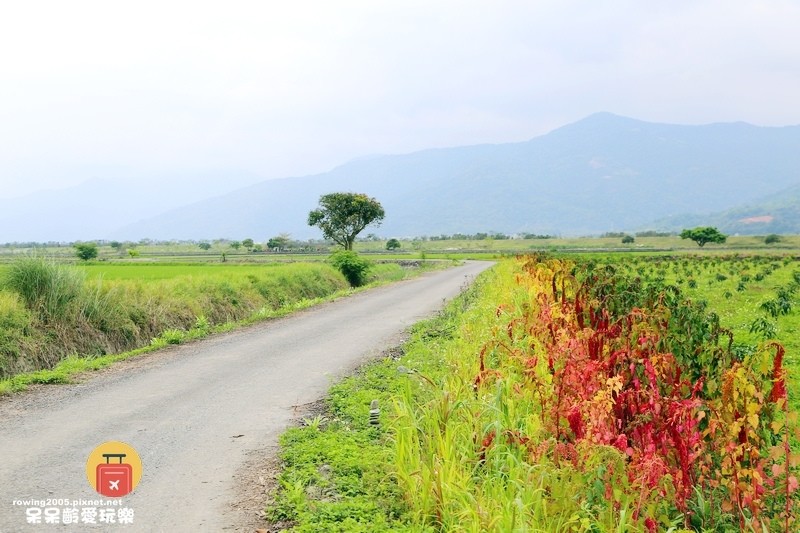 《花蓮。遊》 玉里天堂路 蜿蜒小徑碗如通往天際的神祕通道