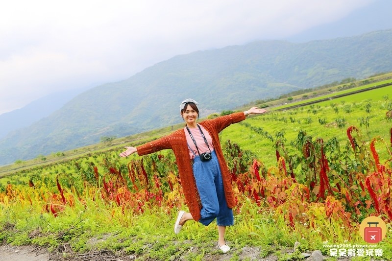 《花蓮。遊》 玉里天堂路 蜿蜒小徑碗如通往天際的神祕通道
