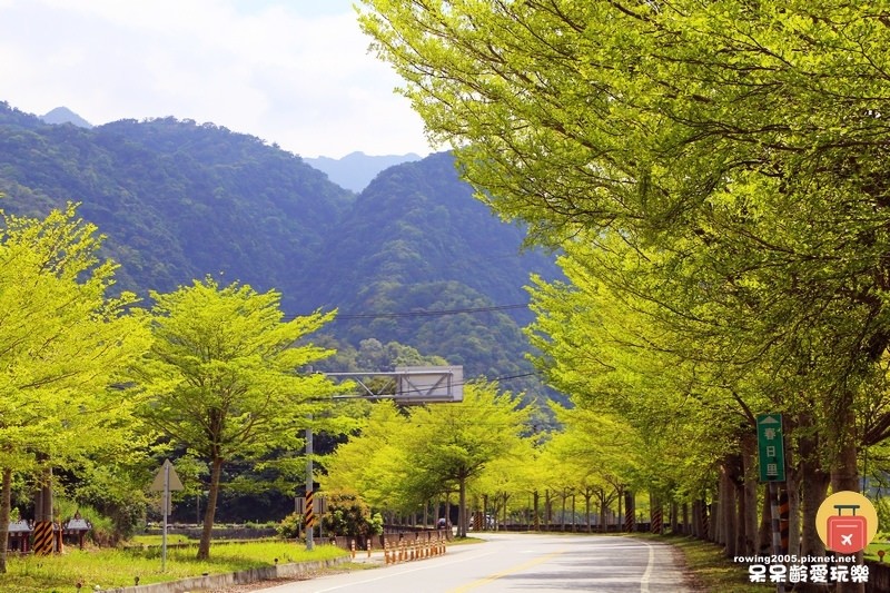 《花蓮。遊》 玉里天堂路 蜿蜒小徑碗如通往天際的神祕通道
