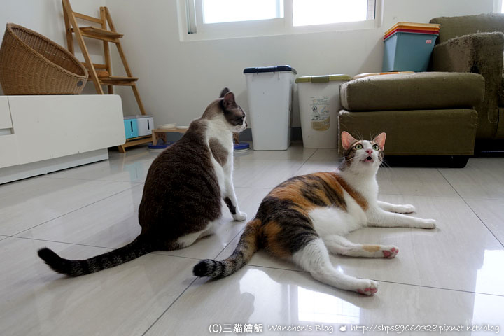 遠傳上網吃到飽 送家電