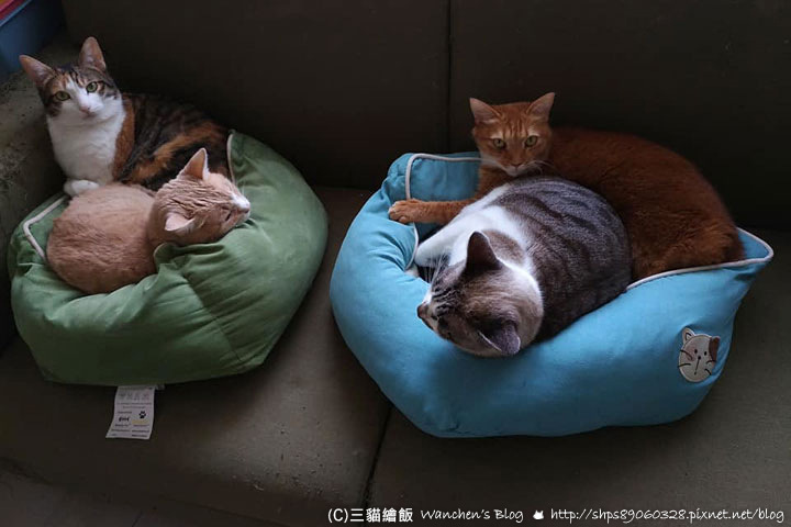 遠傳上網吃到飽 送家電