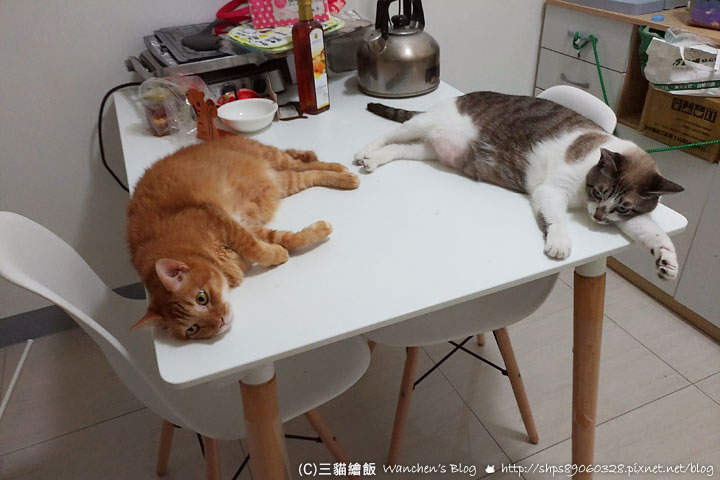 遠傳上網吃到飽 送家電