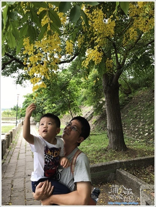 20180623-æ±å®å¤æ©08