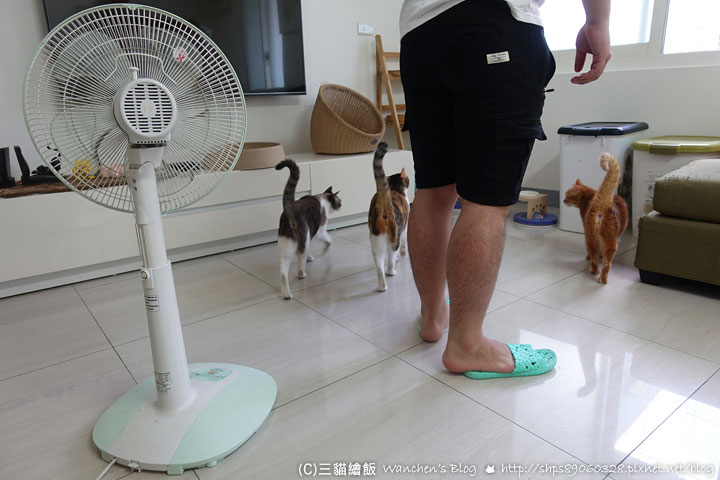 遠傳上網吃到飽 送家電