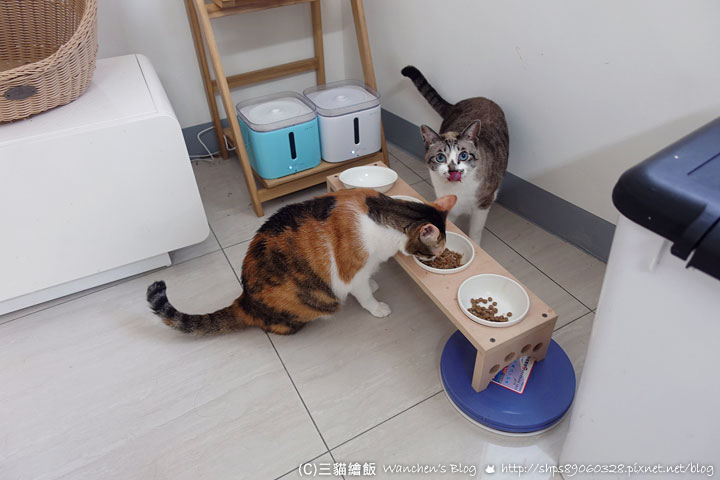 遠傳上網吃到飽 送家電