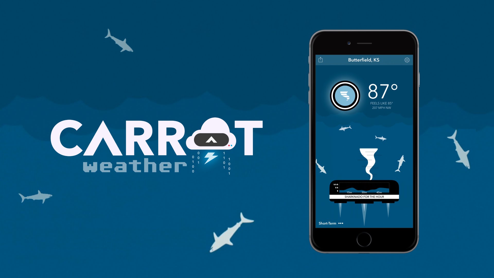 maxresdefault (2).jpg