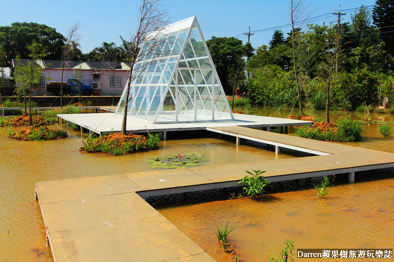 桃園觀音蓮花季大王蓮