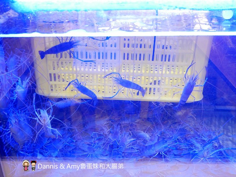 《新竹竹北聚餐推薦餐廳》一品活蝦竹北旗艦店。現撈泰國蝦美食餐廳。下班約會聚餐好去處。還有超大親子空間設計︱（影片）