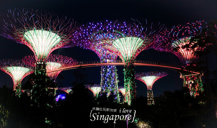 新加坡夜景,克拉碼頭,新加坡摩天輪,金沙酒店水幕燈光秀,濱海灣花園,super tree,