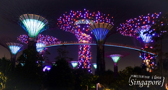新加坡夜景,克拉碼頭,新加坡摩天輪,金沙酒店水幕燈光秀,濱海灣花園,super tree,