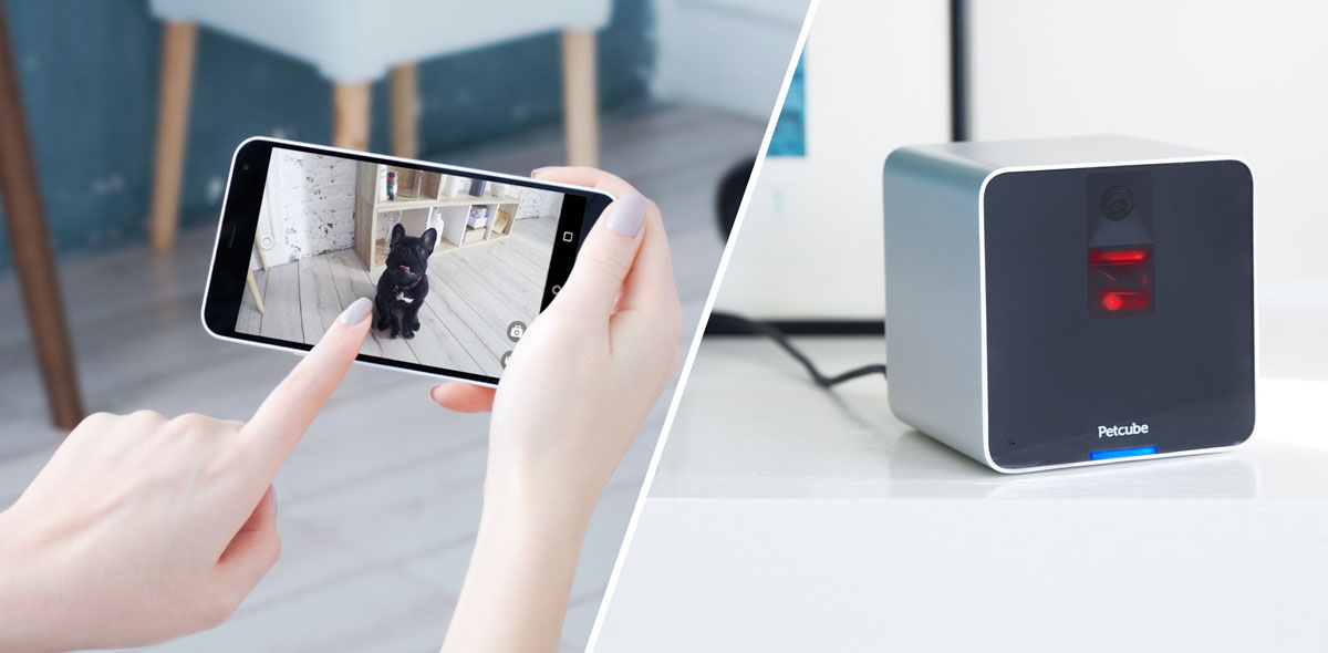 Petcube-Camera-with-smartphone-view-strip.jpg