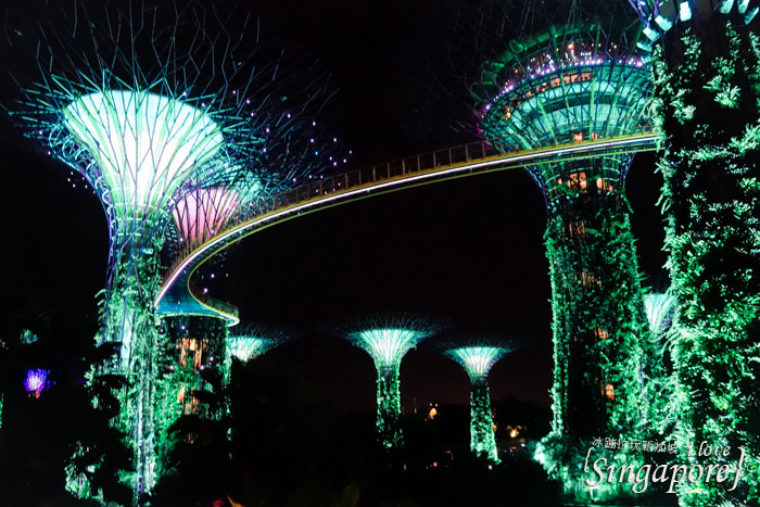 新加坡夜景,克拉碼頭,新加坡摩天輪,金沙酒店水幕燈光秀,濱海灣花園,super tree,