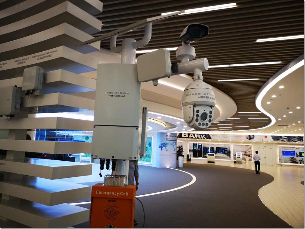 IMG_20180802_173732 IMG_20180802_173732