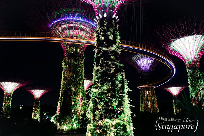 新加坡夜景,克拉碼頭,新加坡摩天輪,金沙酒店水幕燈光秀,濱海灣花園,super tree,