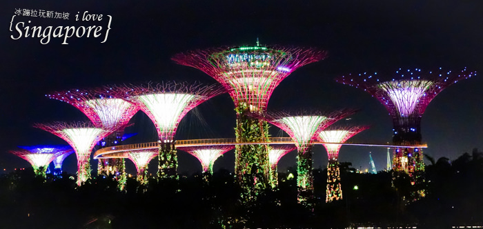 新加坡夜景,克拉碼頭,新加坡摩天輪,金沙酒店水幕燈光秀,濱海灣花園,super tree,