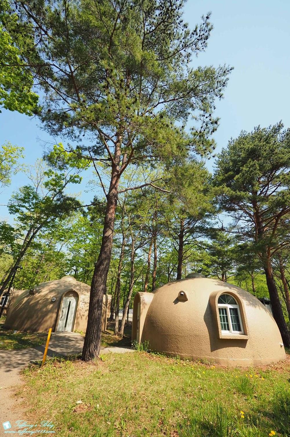 日本福島旅遊五天四夜自由行懶人包/日本東北怎麼玩?吃喝玩樂一次收錄!