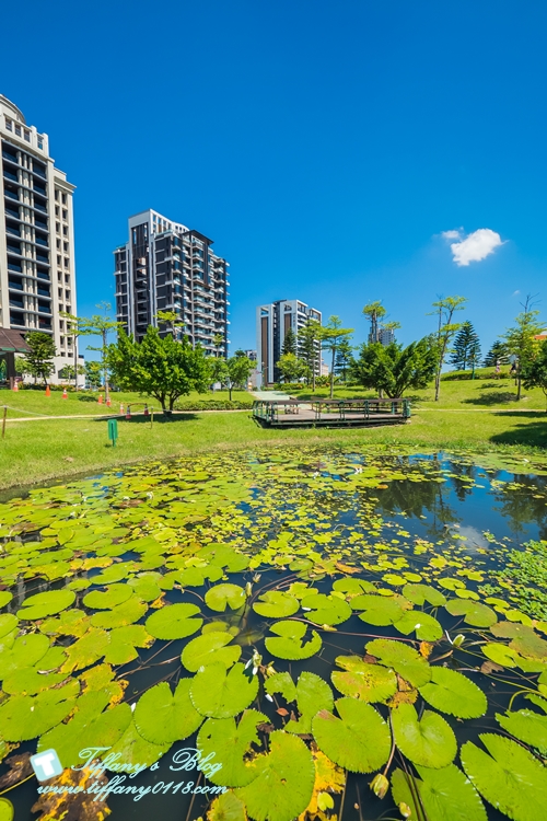 桃園中壢一日遊：大江餐飲一週年慶天天5%回饋金+APP抽餐廳免費吃/桃園地景藝術節逛完就來大江吹冷氣