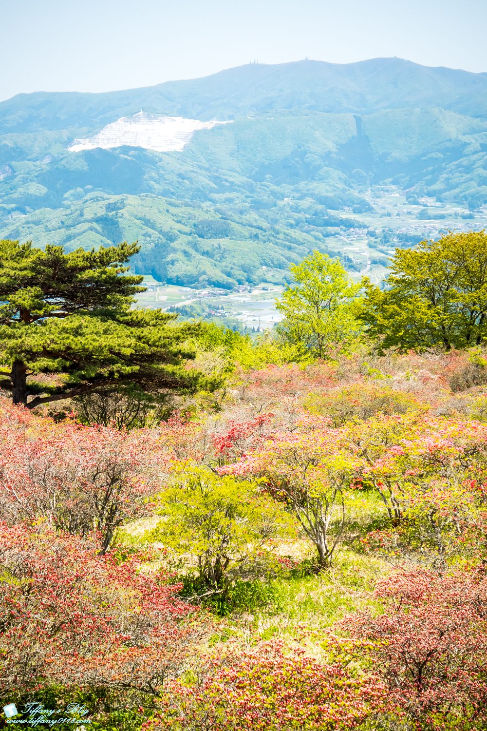 日本福島旅遊五天四夜自由行懶人包/日本東北怎麼玩?吃喝玩樂一次收錄!