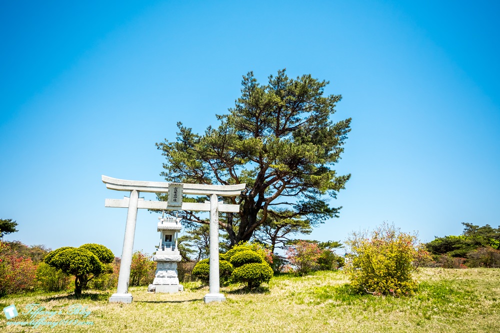 日本福島旅遊五天四夜自由行懶人包/日本東北怎麼玩?吃喝玩樂一次收錄!