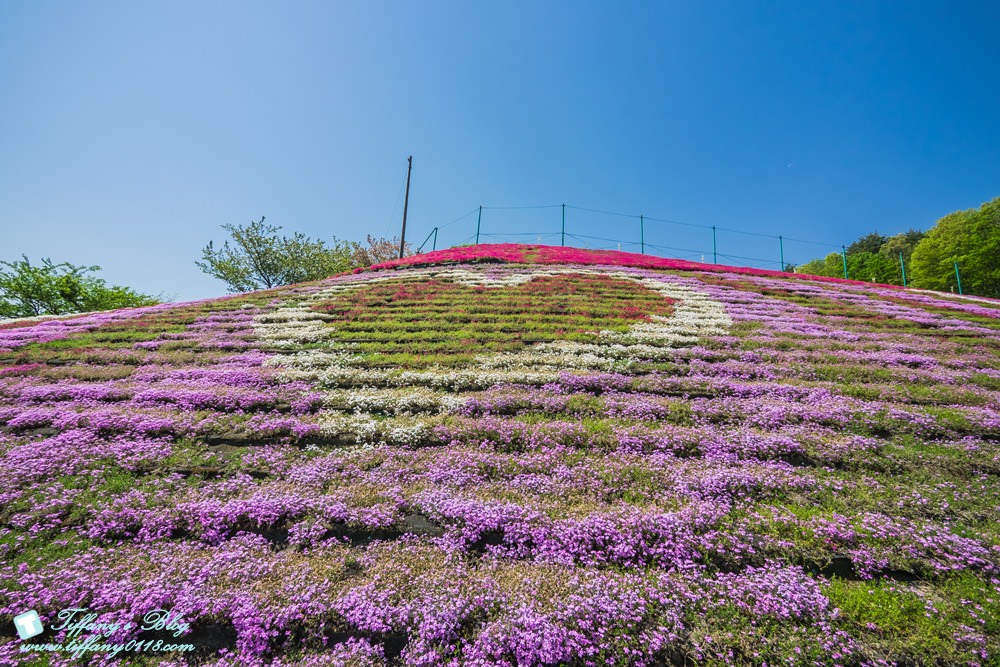 日本福島旅遊五天四夜自由行懶人包/日本東北怎麼玩?吃喝玩樂一次收錄!