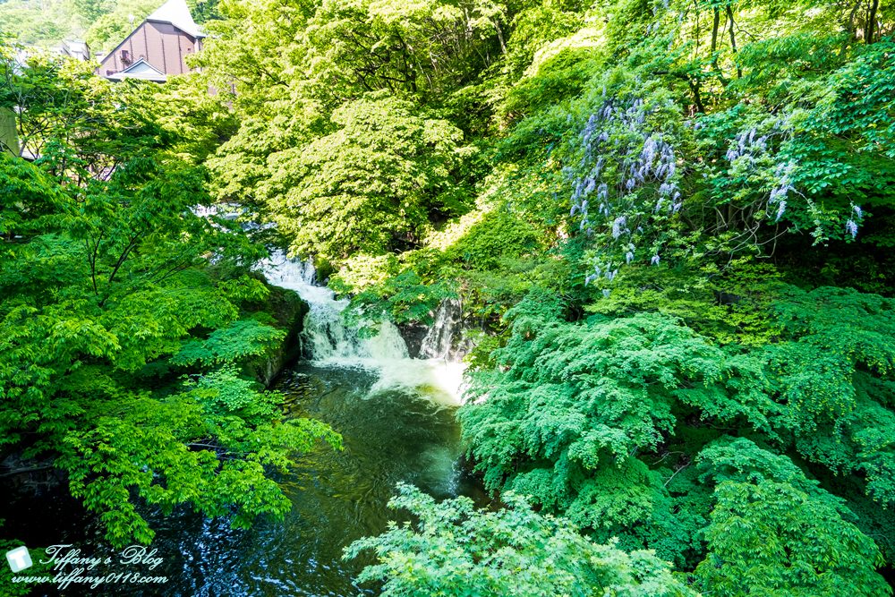 日本福島旅遊五天四夜自由行懶人包/日本東北怎麼玩?吃喝玩樂一次收錄!