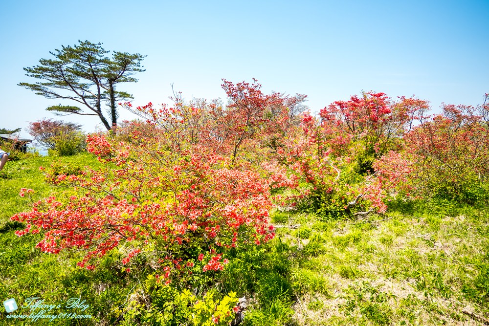 日本福島旅遊五天四夜自由行懶人包/日本東北怎麼玩?吃喝玩樂一次收錄!