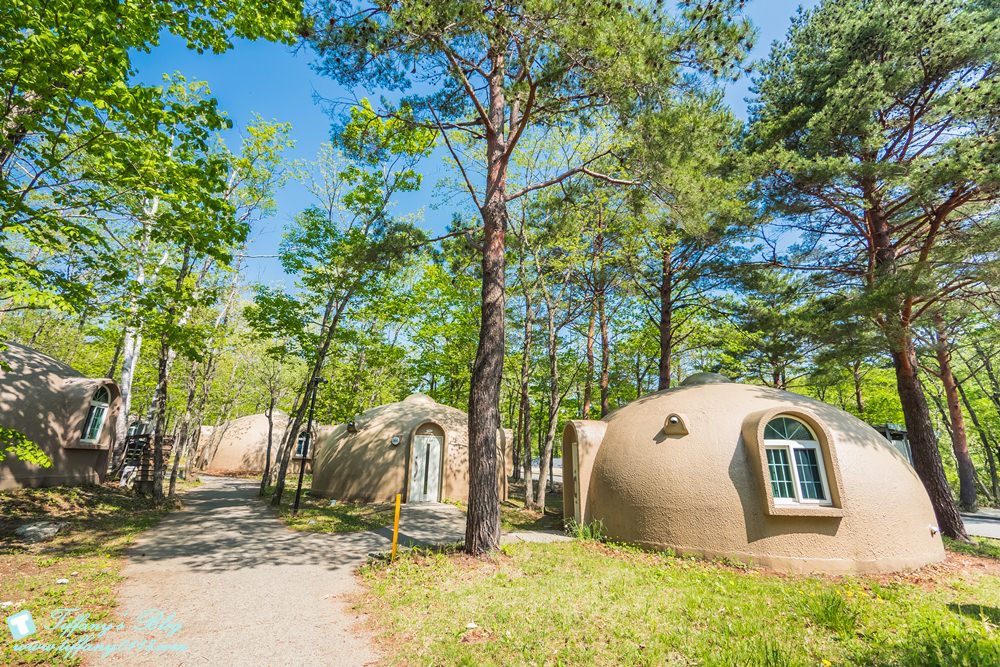 日本福島旅遊五天四夜自由行懶人包/日本東北怎麼玩?吃喝玩樂一次收錄!