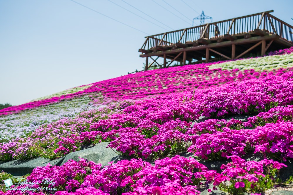 日本福島旅遊五天四夜自由行懶人包/日本東北怎麼玩?吃喝玩樂一次收錄!
