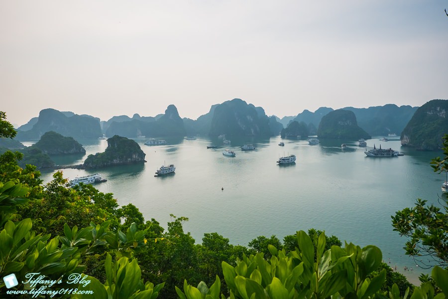 [越南旅遊]下龍灣TI TOP英雄島/登高俯瞰不一樣的下龍灣美景