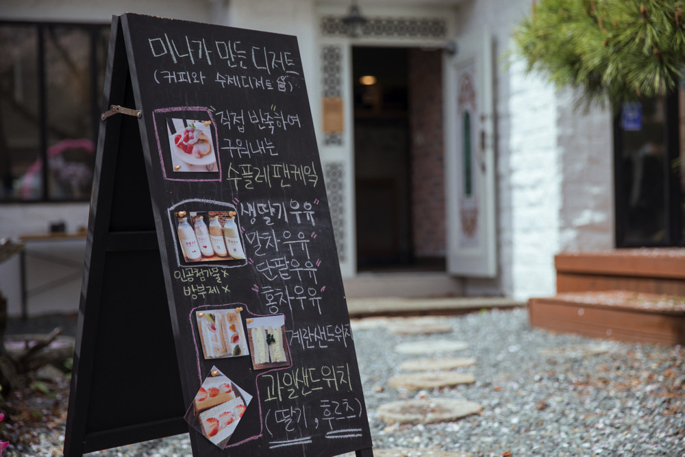 釜山自由行,釜山賞櫻,韓國櫻花,釜山櫻花,釜山景點,釜山好玩,釜山鎮海櫻花,鎮海賞櫻