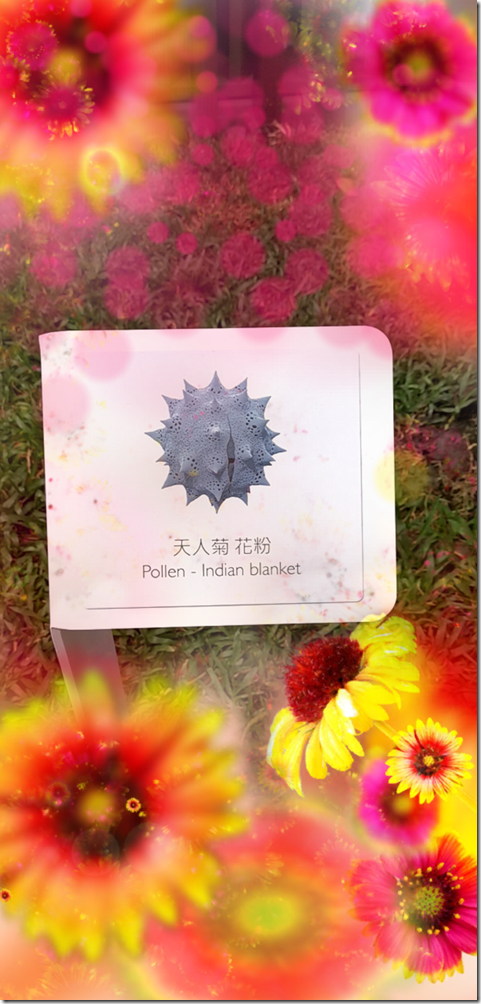 ScreenShot_2018-10-22_11-14-49