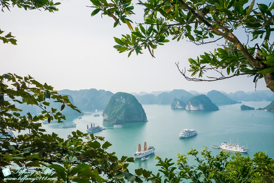 [越南旅遊]下龍灣TI TOP英雄島/登高俯瞰不一樣的下龍灣美景