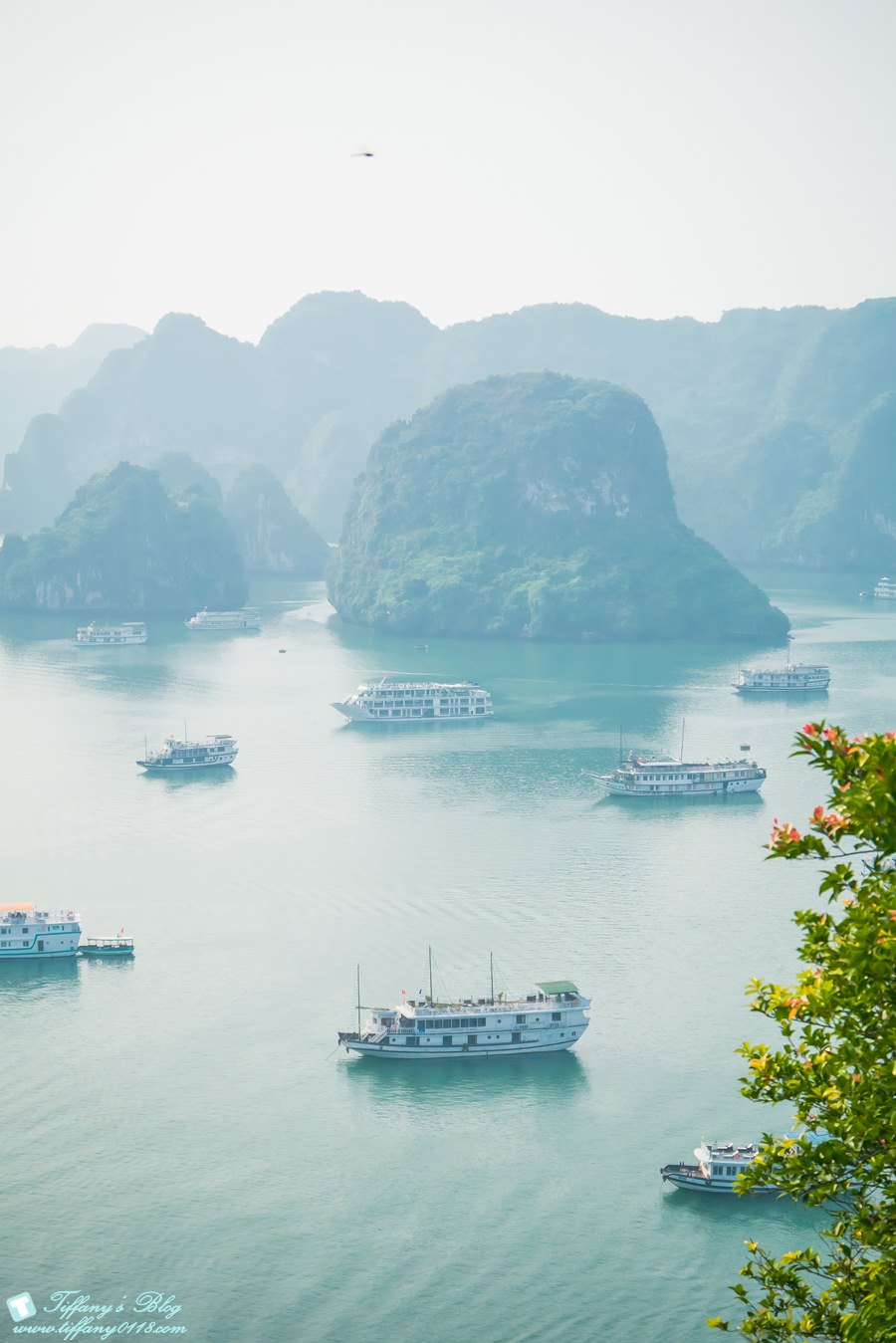 [越南旅遊]下龍灣TI TOP英雄島/登高俯瞰不一樣的下龍灣美景