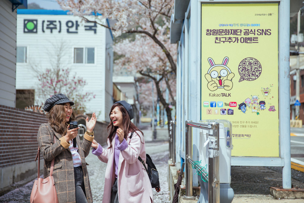 釜山自由行,釜山賞櫻,韓國櫻花,釜山櫻花,釜山景點,釜山好玩,釜山鎮海櫻花,鎮海賞櫻