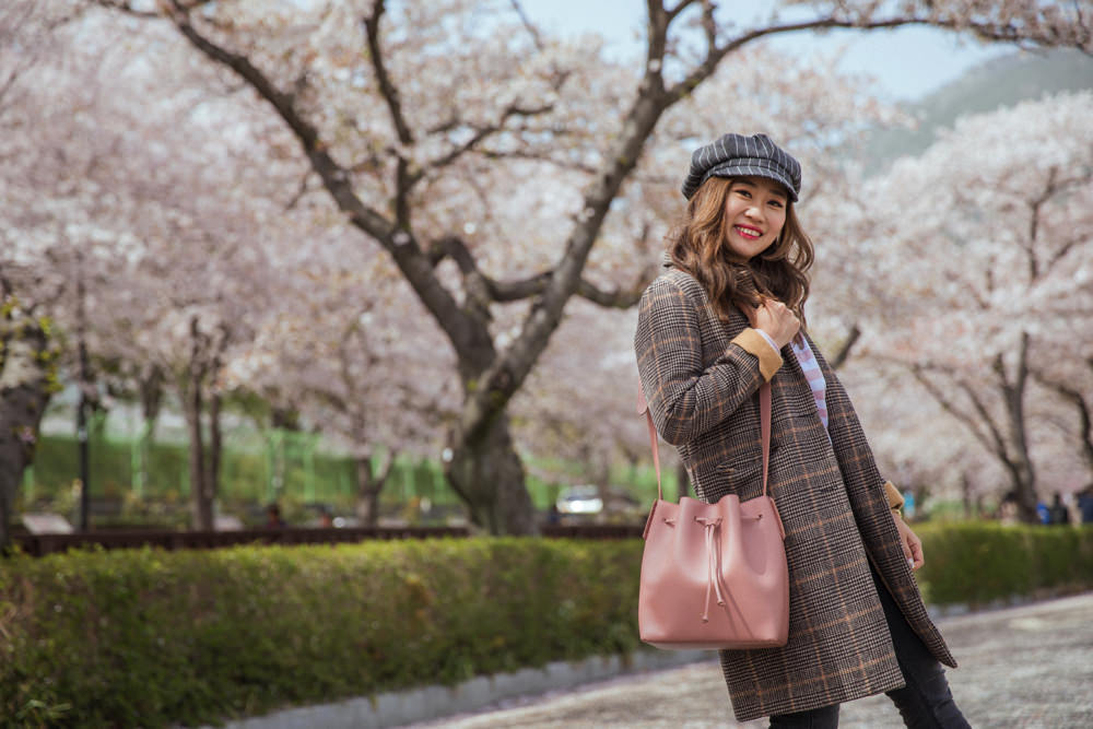 釜山自由行,釜山賞櫻,韓國櫻花,釜山櫻花,釜山景點,釜山好玩,釜山鎮海櫻花,鎮海賞櫻